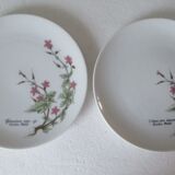 Assiettes à dessert porcelaine fine  de Bavière -botaniqu