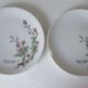 Fine porcelain dessert plates from Bavaria -botaniqu
