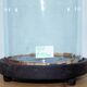 Antique cloche globe de mariée en verre rond 48 cm haute pied noir