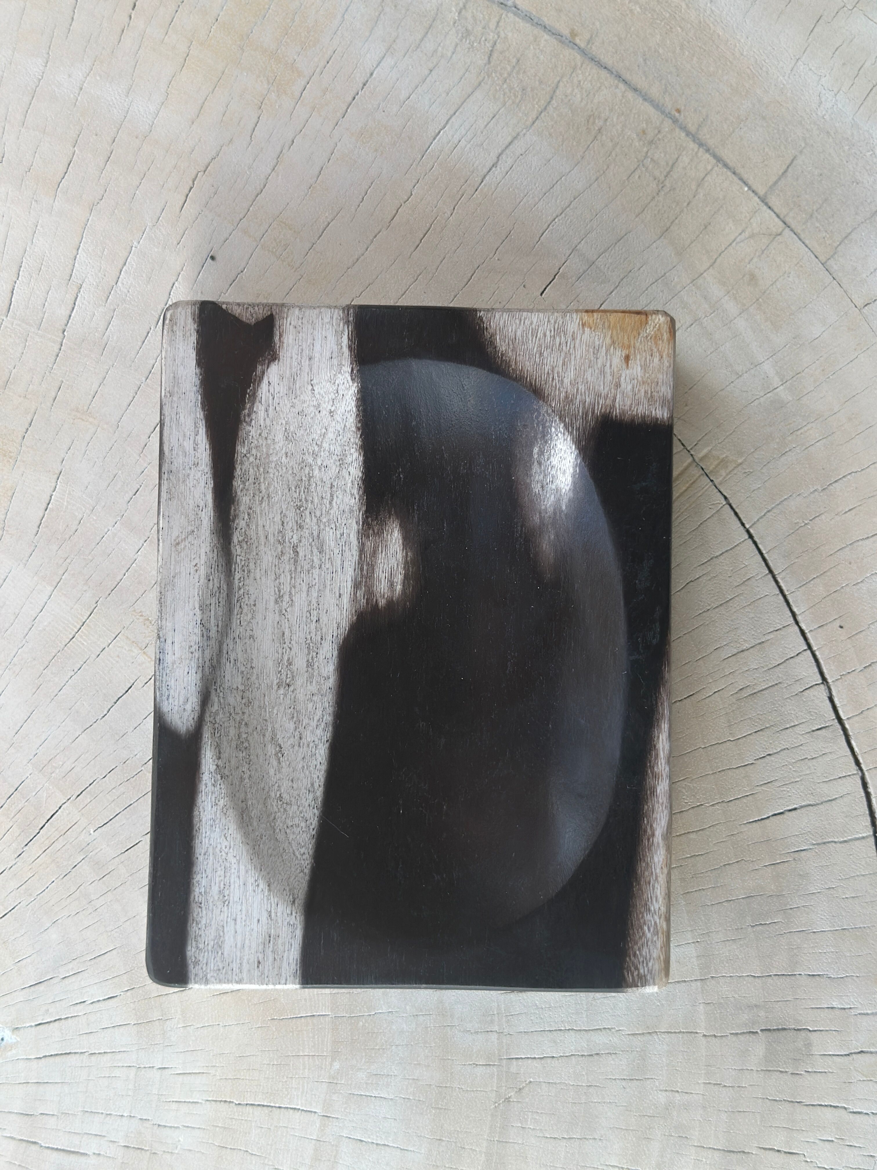 Symmetrical multicolored petrified wood soap dish