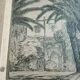 Old painting drawing in ink signed , Les Palmiers