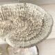 Grand corail "coussin de requin" 39cm