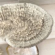 Grand corail "coussin de requin" 39cm