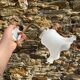 Antique brass and porcelain swan neck wall light.