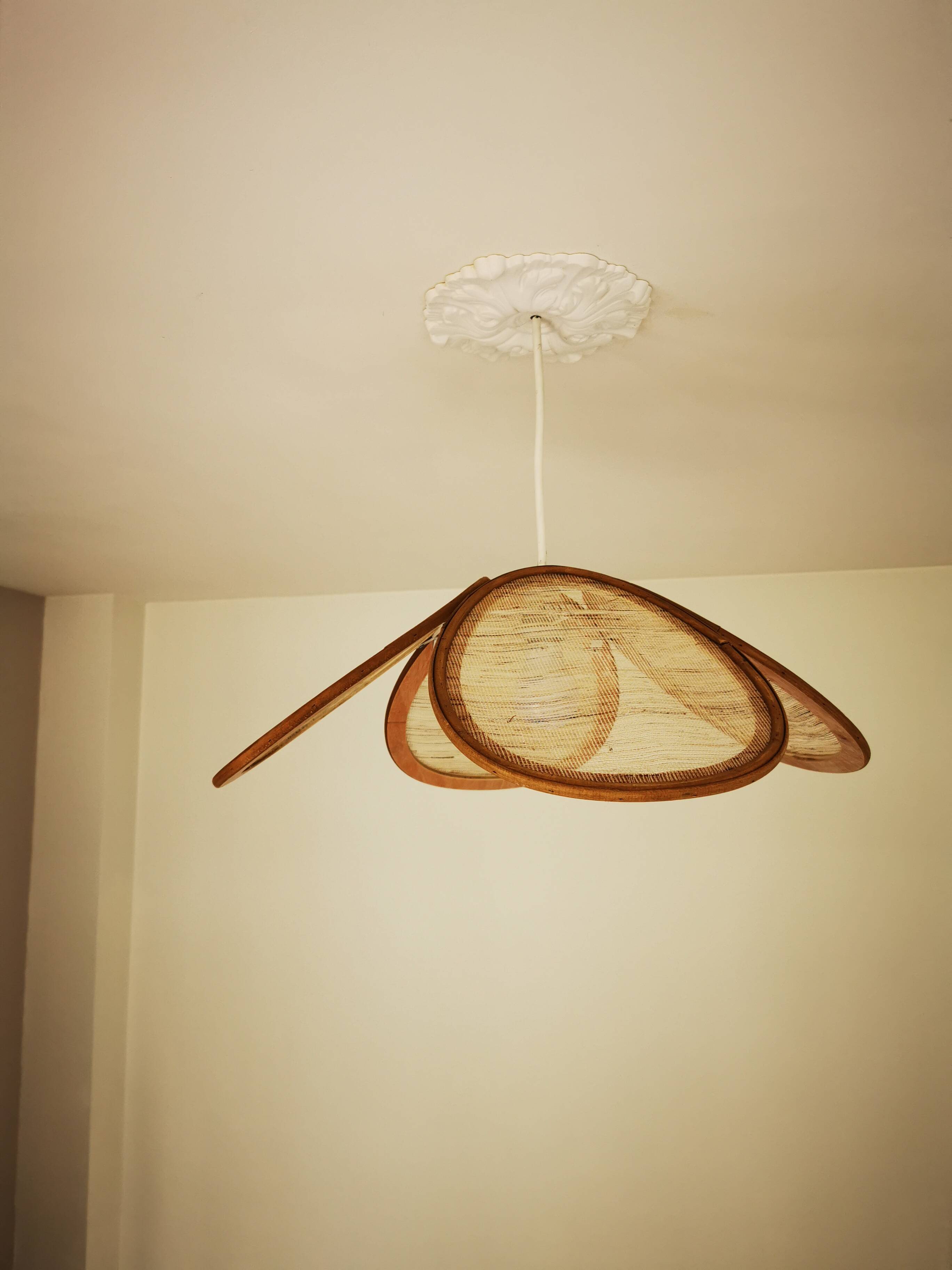 Suspension canvas and bamboo