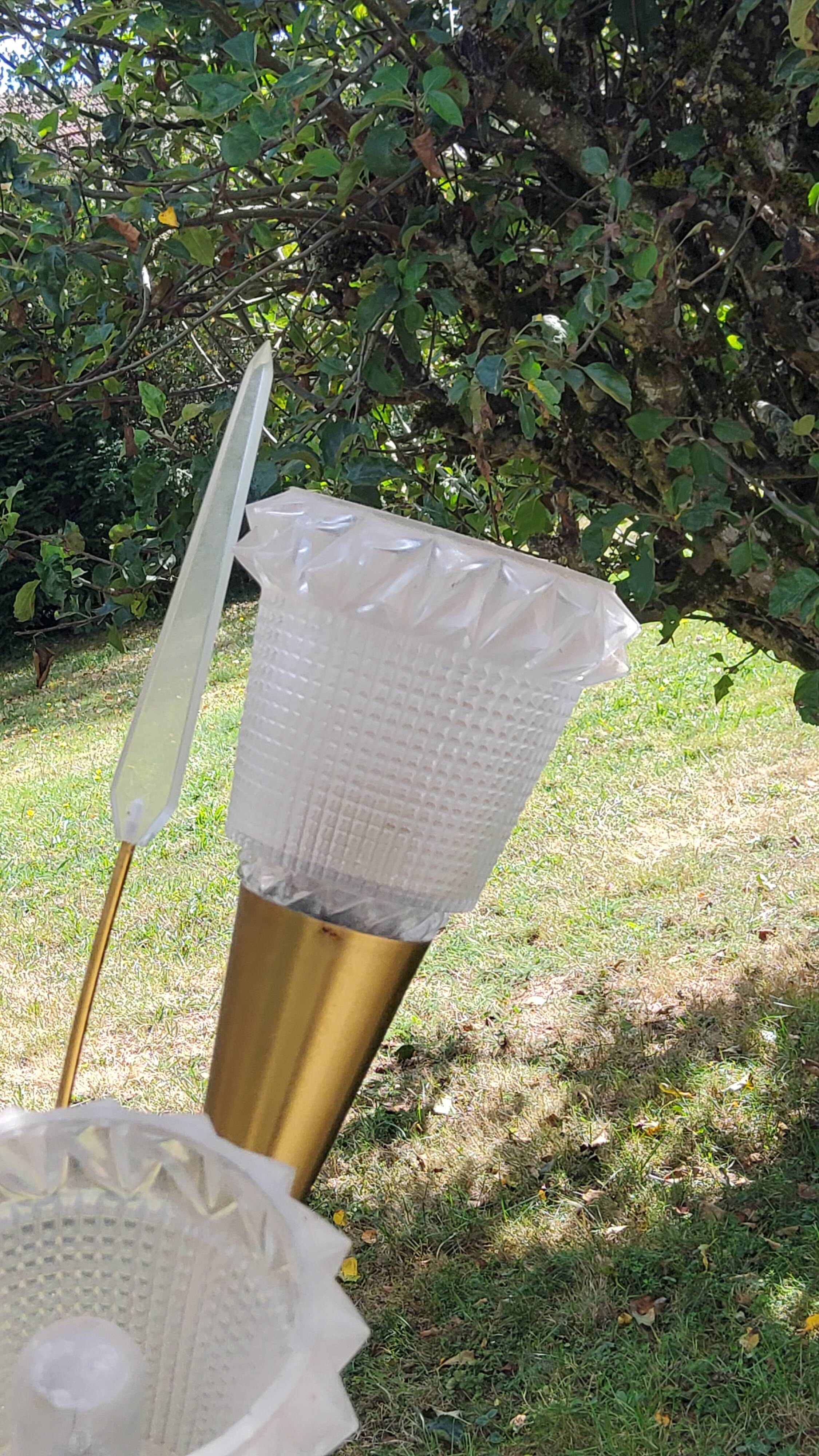 Vintage floor lamp in gilded brass with 5 glass tulips from the 50s