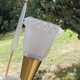 Vintage floor lamp in gilded brass with 5 glass tulips from the 50s