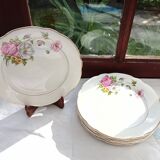 6 Anemone / Digoin flat plates