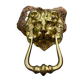 Large lion door knocker in solid brass Art Nouveau