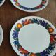 6 flat plates acapulco villeroy and bosch