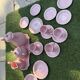 Coffee service