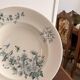 Lot 6 Plate Plates Faience Longwy Model Mignon