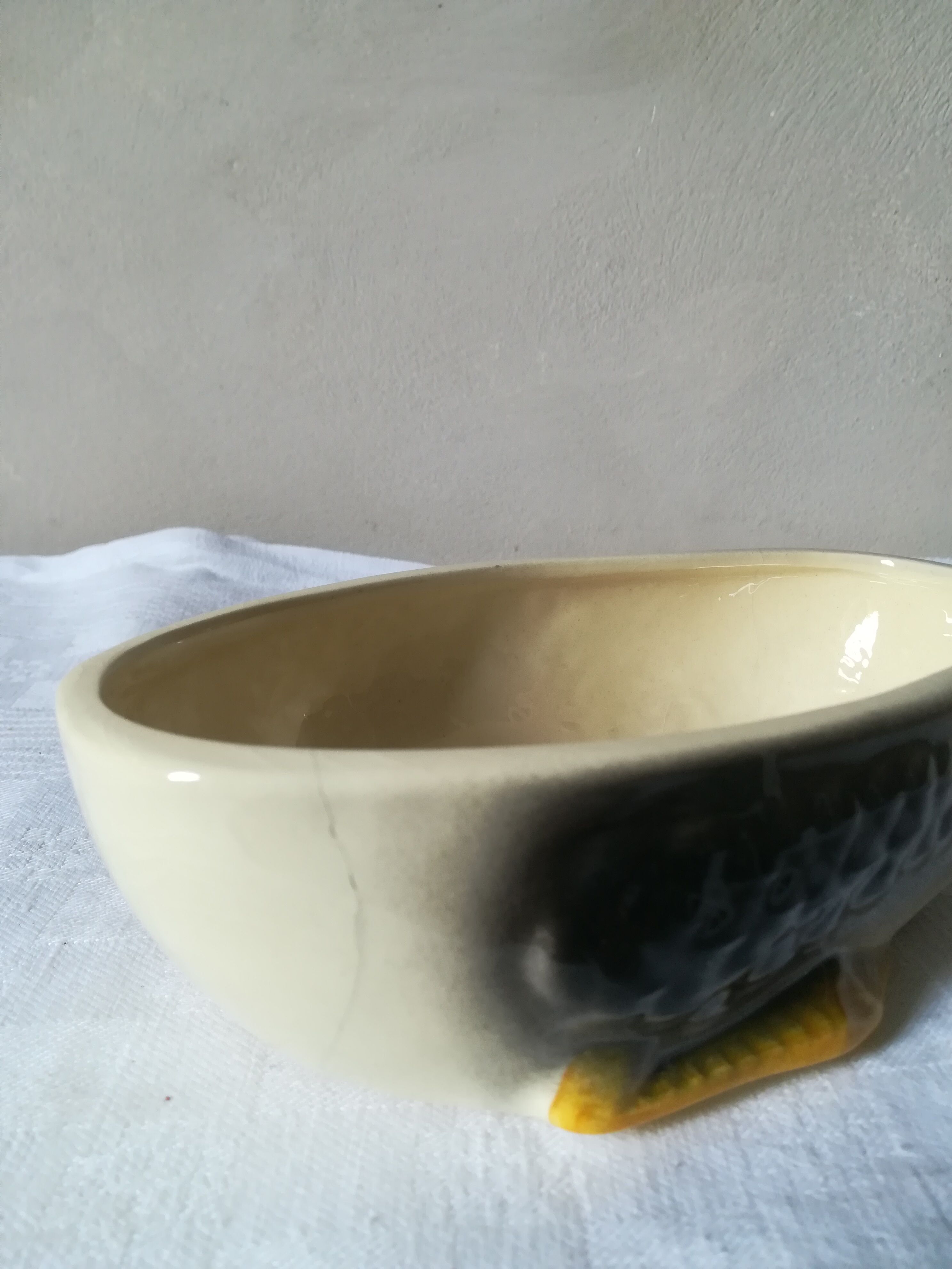 Dish in dabbling with goose