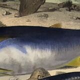 Original zoological plate of 1839 "tuna & mackerel"