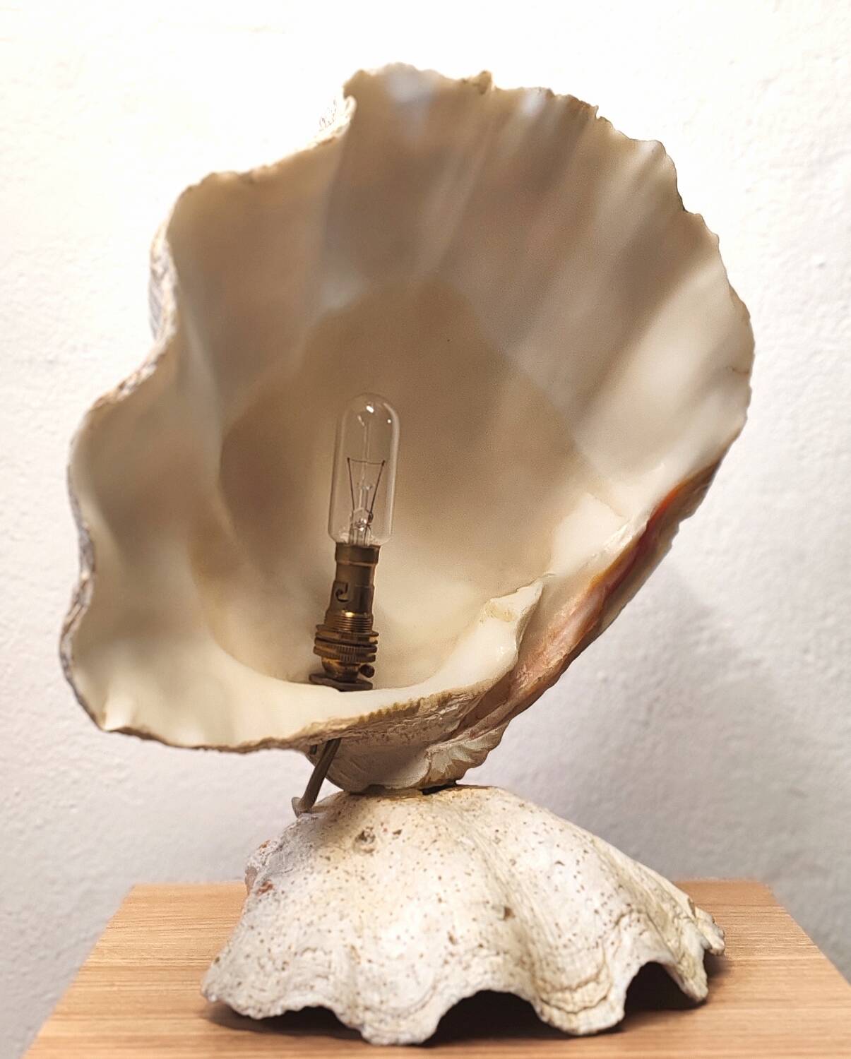 Clam shell lamp