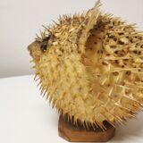 Naturalized Moonfish Lamp, 1950