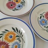 Trio of hbcm plates
