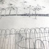 Peter stevenson, lacrosse hyde park, 1972. etching signed in pencil