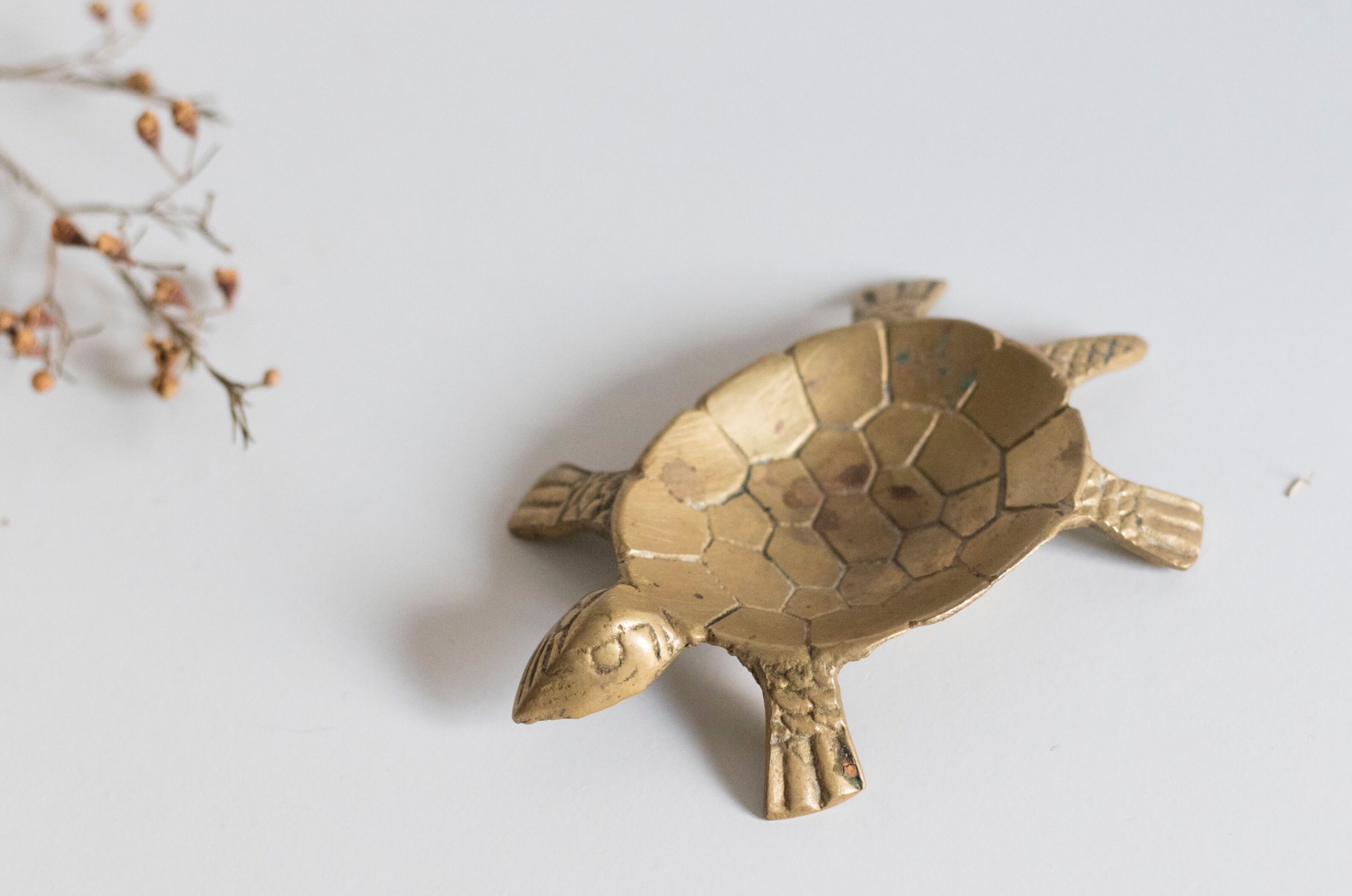 Ashtray / empty turtle brass pockets