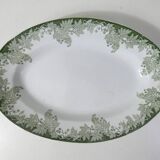 flat oval iron ground PLANE TREE