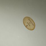 60s 70s hanging lamp Louisiana by Vilhelm Wohlert Jürgen Bo for Louis Poulsen