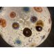 Lampe de table contemporaine en verre multicolore « Murrine » de style Murano