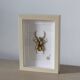 Tableau insecte brodé à la main (pièce unique)