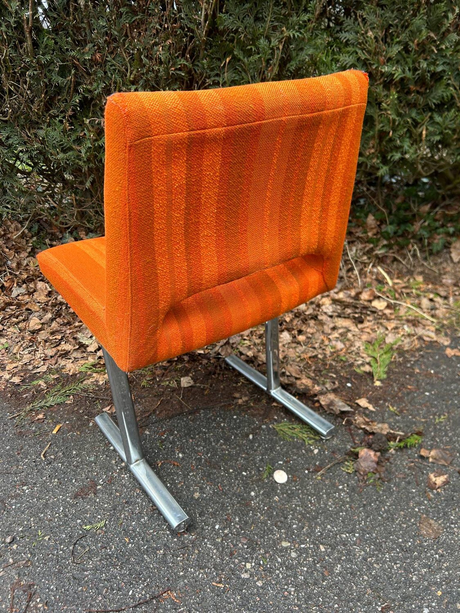 Pair of chairs by Georges Frydman