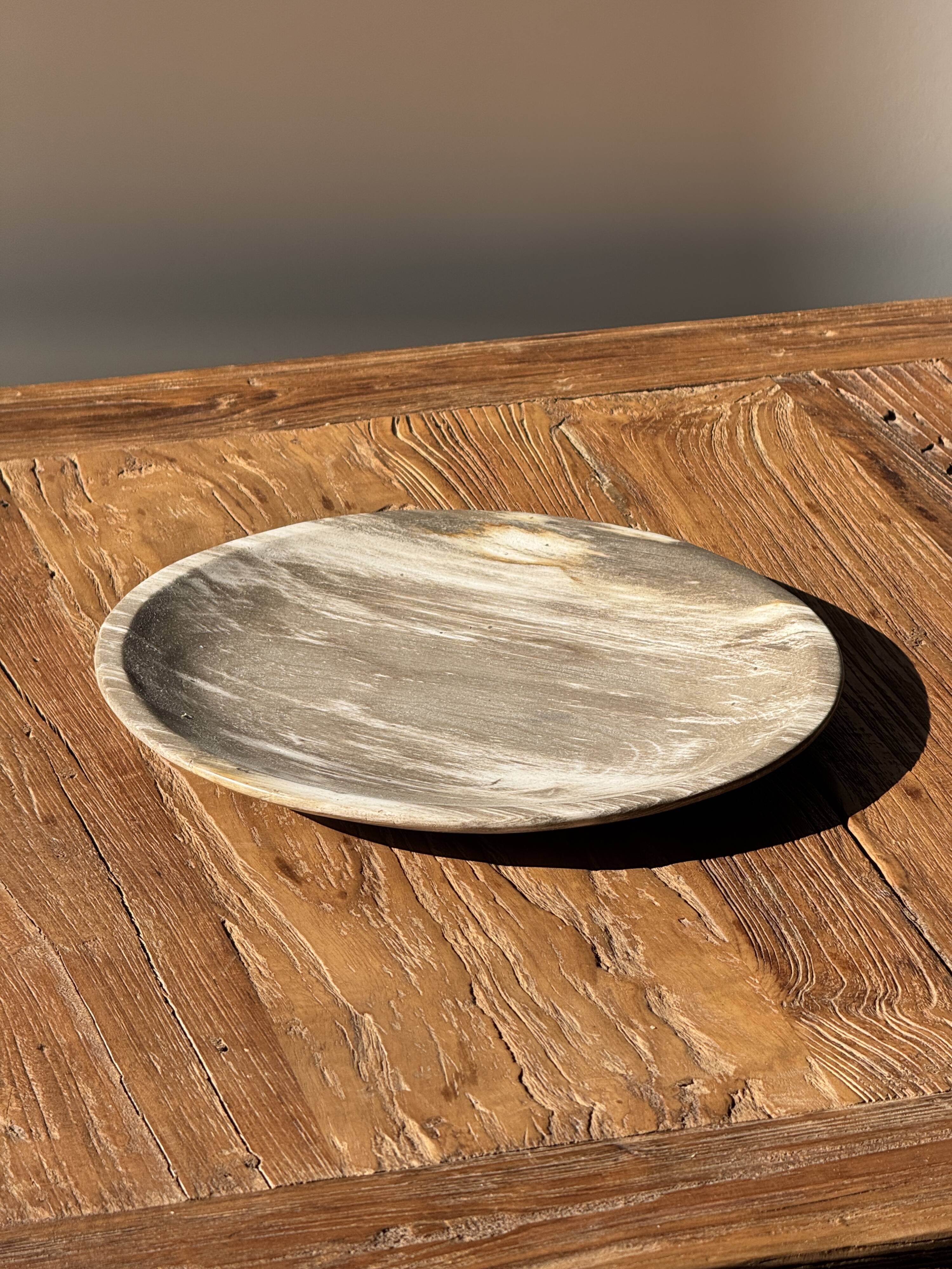 Petrified wood vide poche, circular dish or plate in light beige D25.