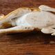 Porcelain biscuit greyhound