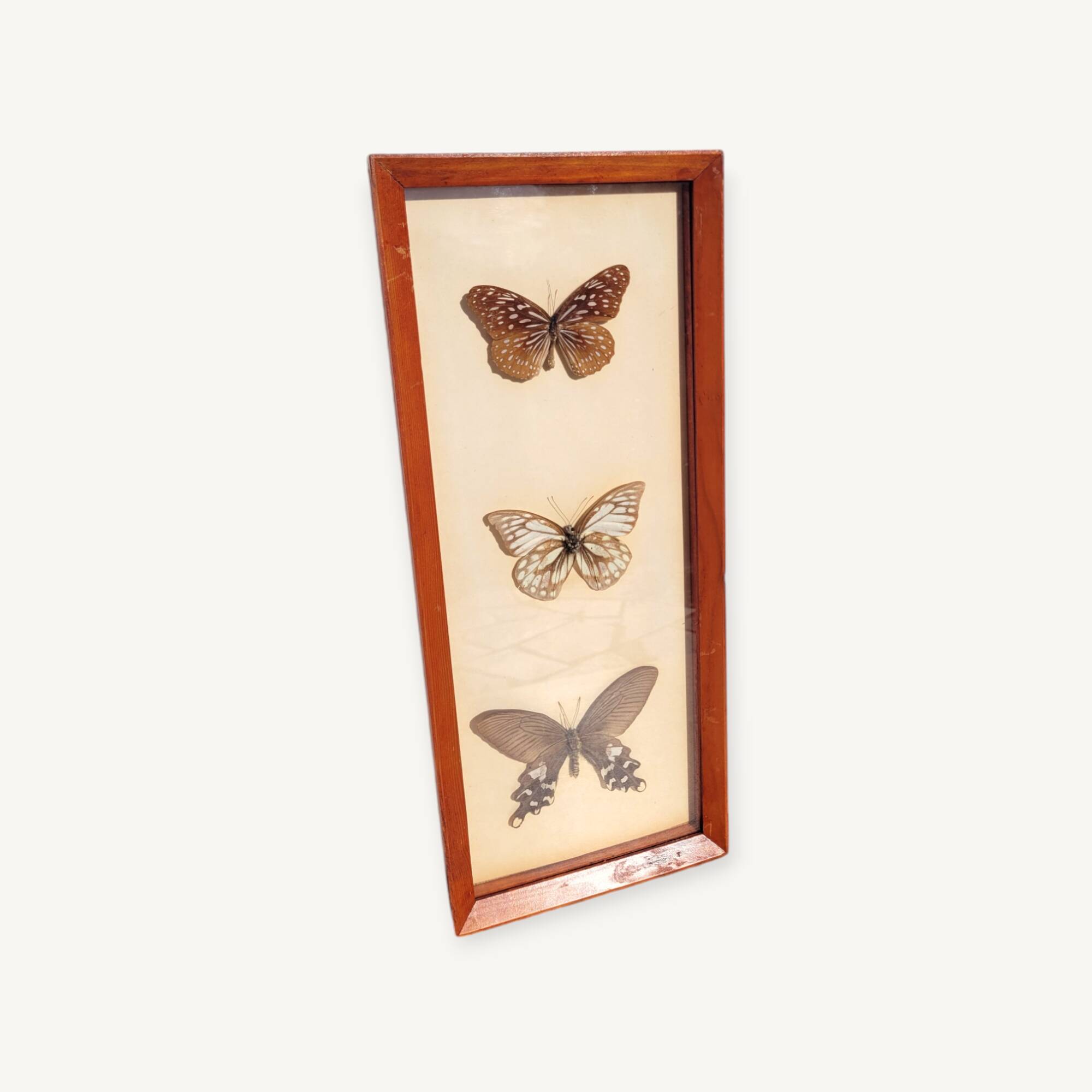 Painting with 3 butterflies