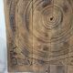 Carved wooden ceiling Curiosity cabinet 155×194cm