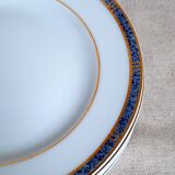 Bernardaud Limoges Antinea service plates