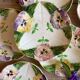 Set of 10 antique slip plates with flower decorations