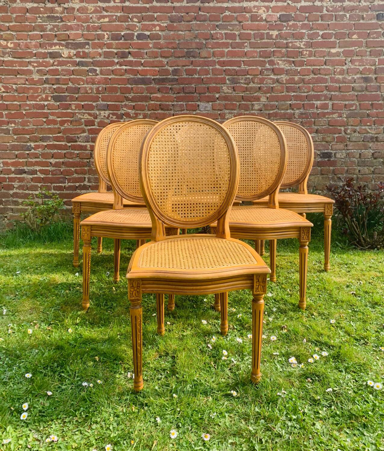 Set of 6 Louis XVI style cane medallion chairs