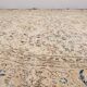 Vintage Turkish Oushak rug 188x300 cm