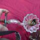 Pair of cup mirror sconces, Murano, vintage, 1940s