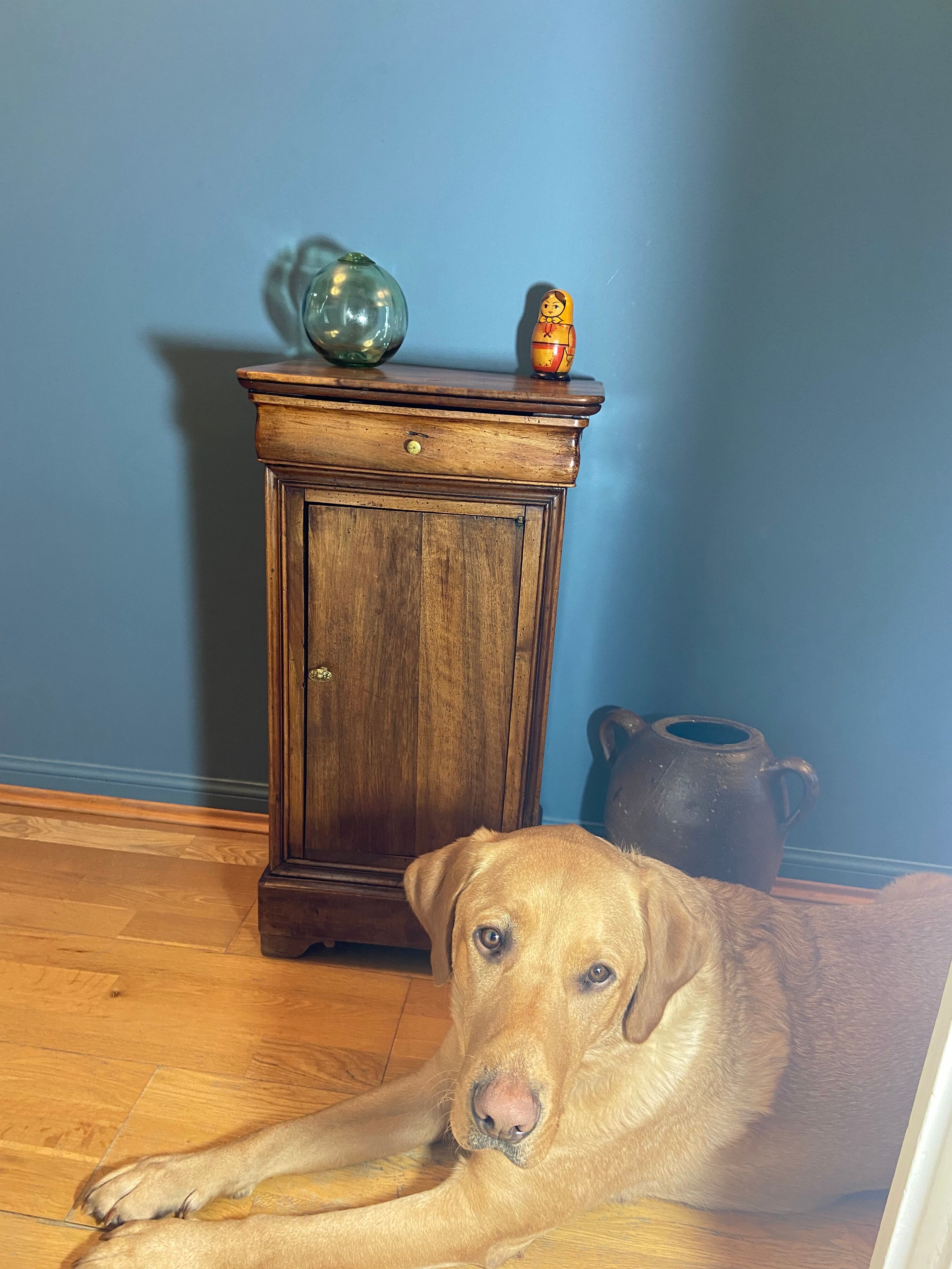 Bedside night table Louis Philippe XIXth