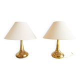 pair of Hammerborg lamps, Orient Fog model @ Meurop