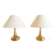 pair of Hammerborg lamps, Orient Fog model @ Meurop