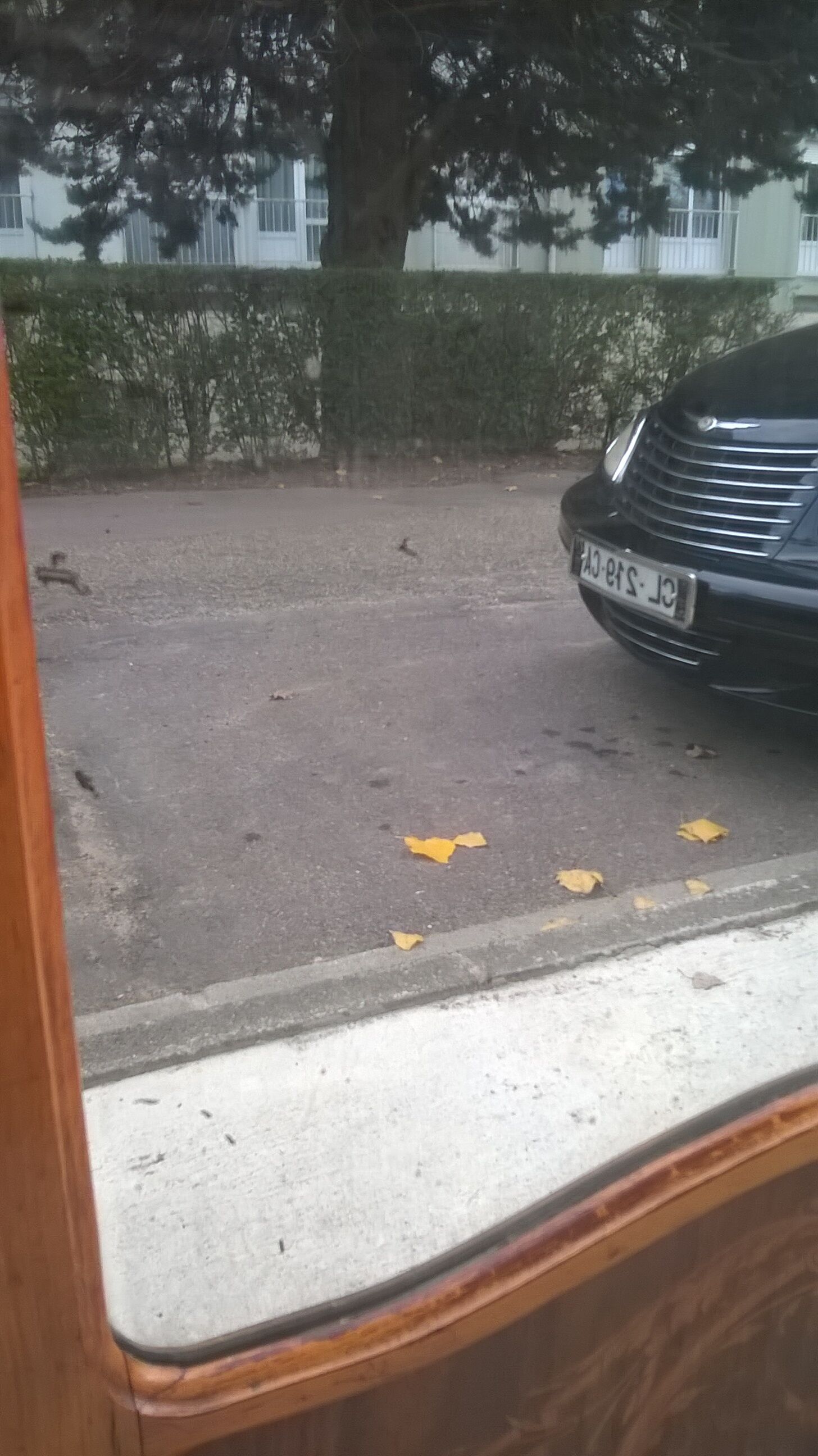 Wardrobe style napoleon III 1900