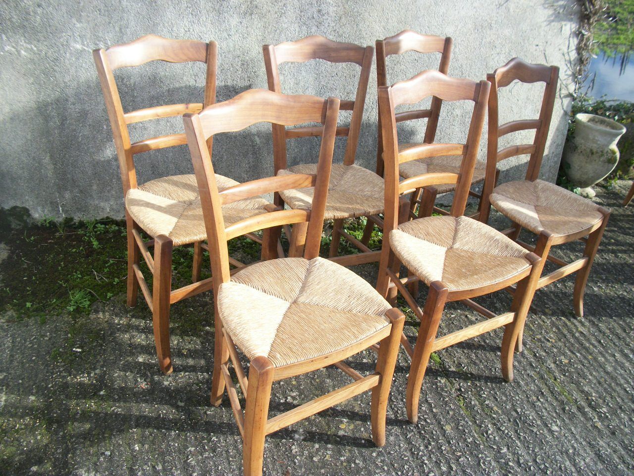 Series of 6 chairs mulched bottoms