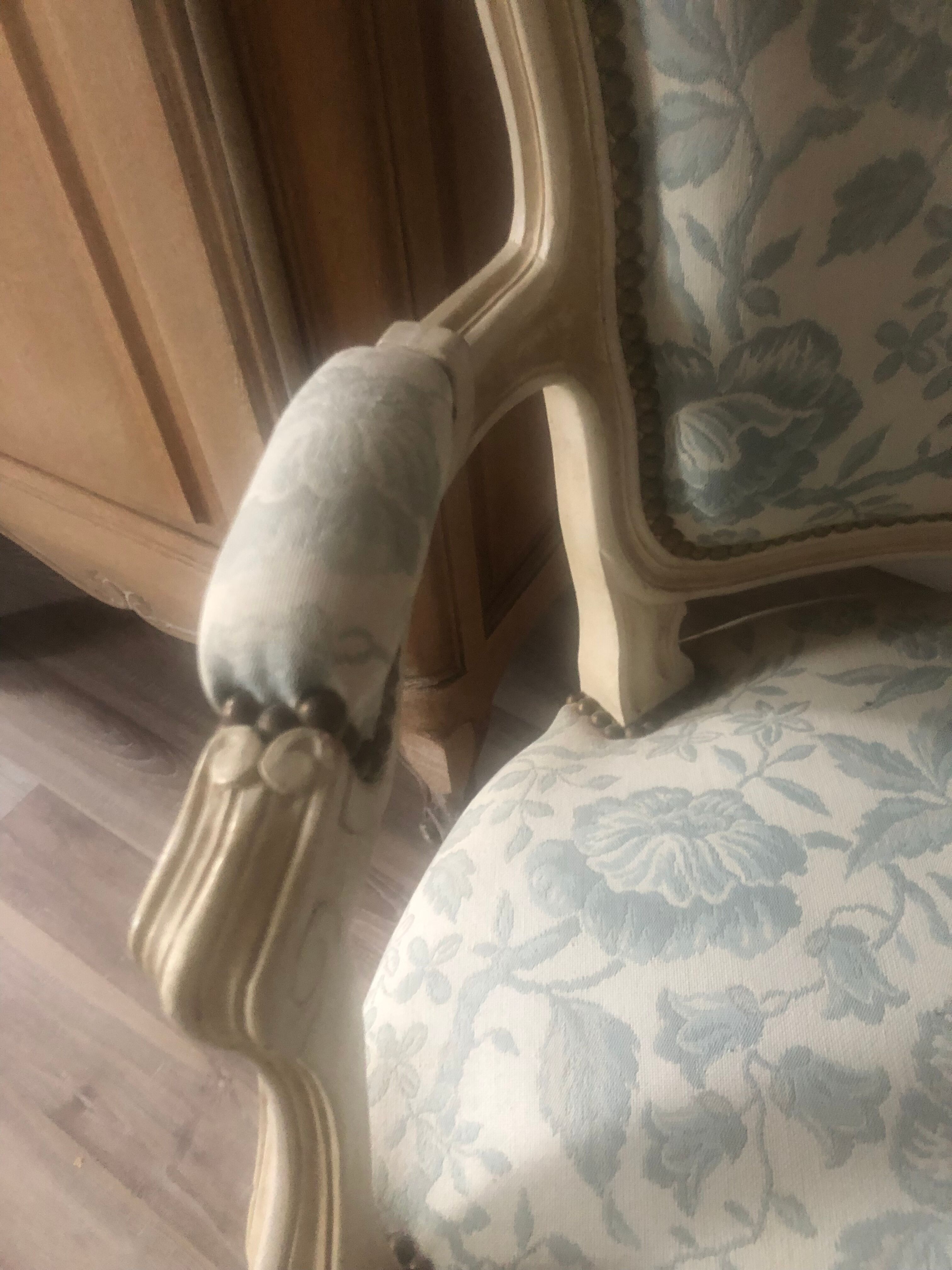 Armchair and its footrest Louis XV style