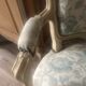 Fauteuil et son repose pieds style Louis XV