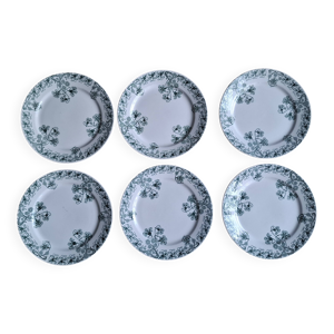 set 6 assiettes Capucines