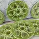 6 oyster plates Proceram vintage Green color