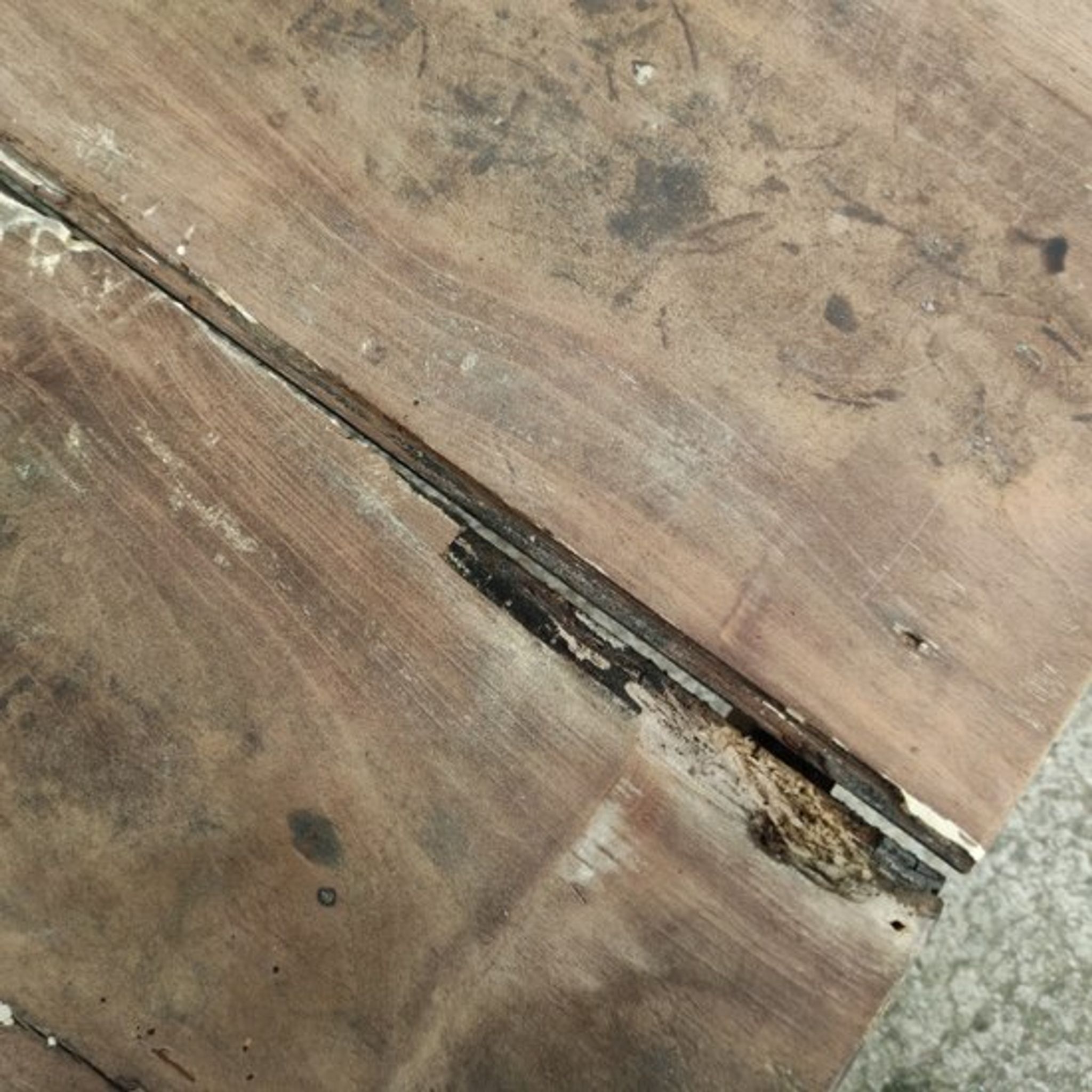 Table de ferme basse