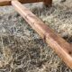 Old farmhouse table made of solid pine