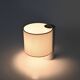 “Fluette” table lamp by Giuliana GLamramigna for Quattrifolio, 1970