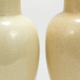 Pair of Tommaso Barbi Riviera palm tree table lamps from the 1970s with matching cushions.